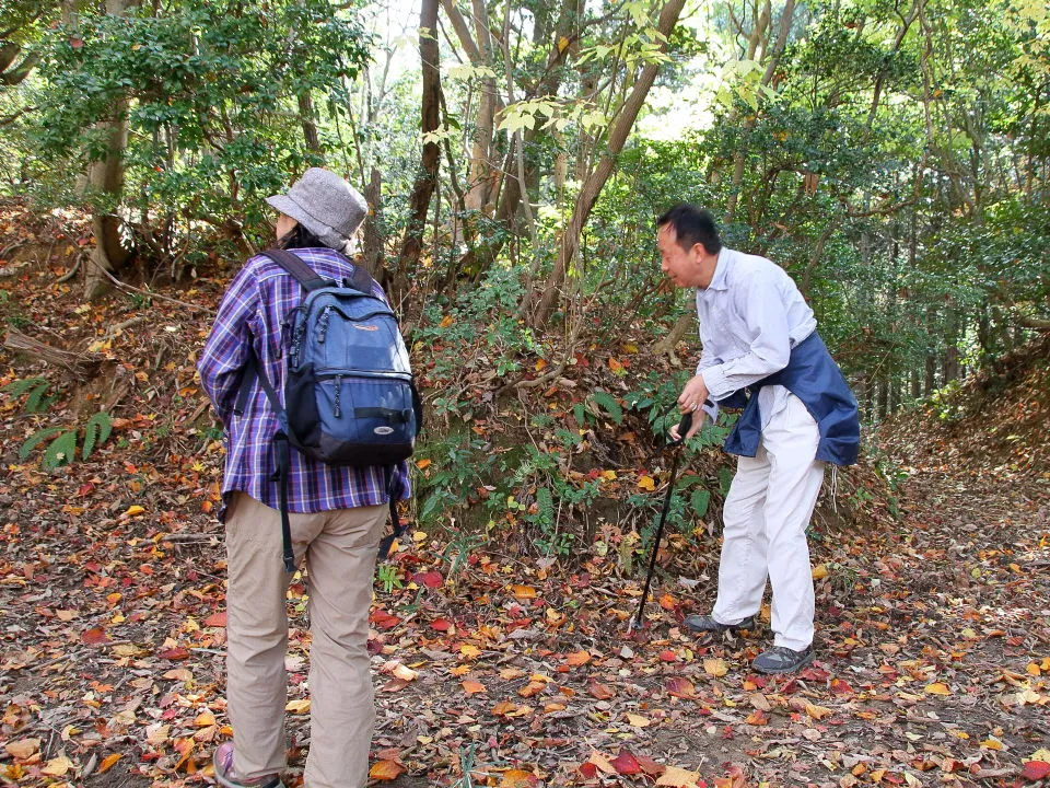 尾根道との合流部