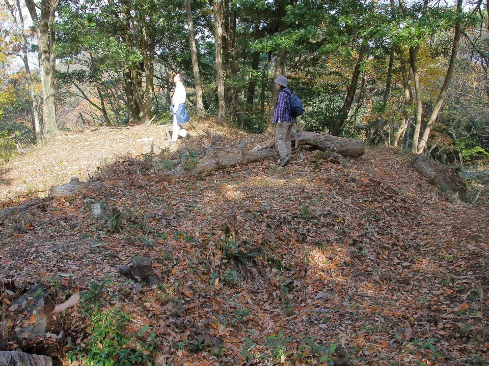 太閤ヶ平　秀吉本陣櫓跡