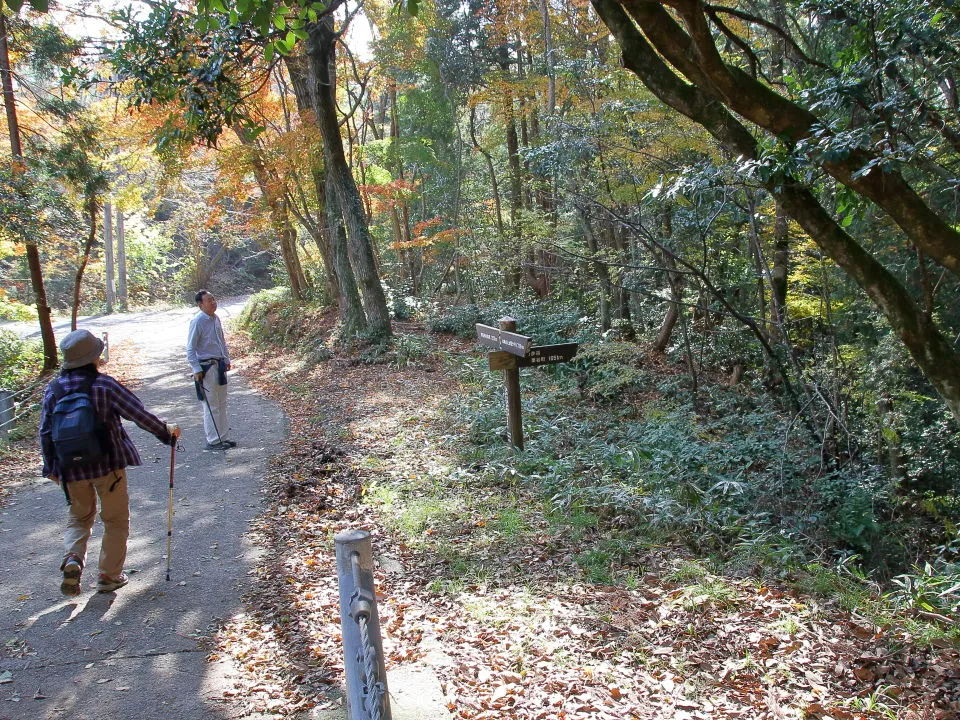 管理道から栗谷町への分岐部