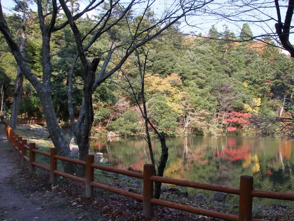 樗谿神社上部の大宮池