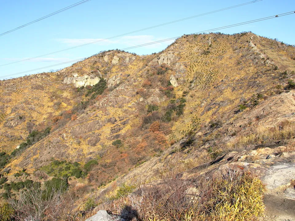 馬ノ背登山道から鷹ノ巣山東峰