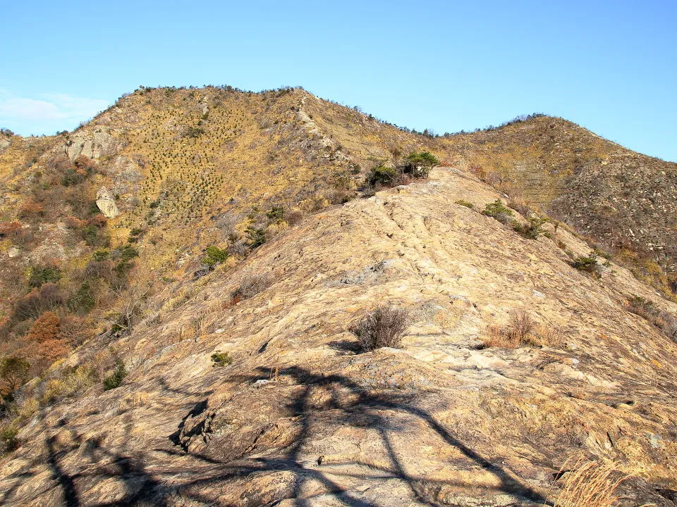 鷹ノ巣山東峰へ続く馬ノ背登山道