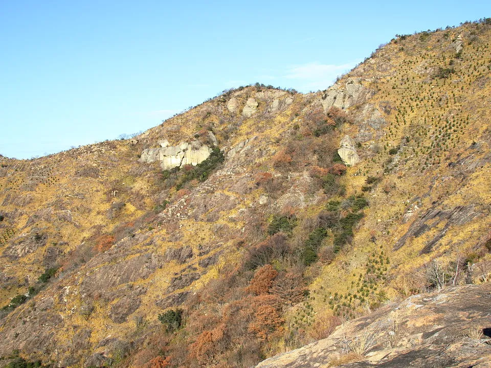 馬ノ背登山道から鷹ノ巣山