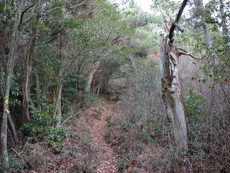 中畑町登山口側登山道