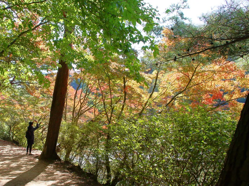 長谷池周辺の紅葉