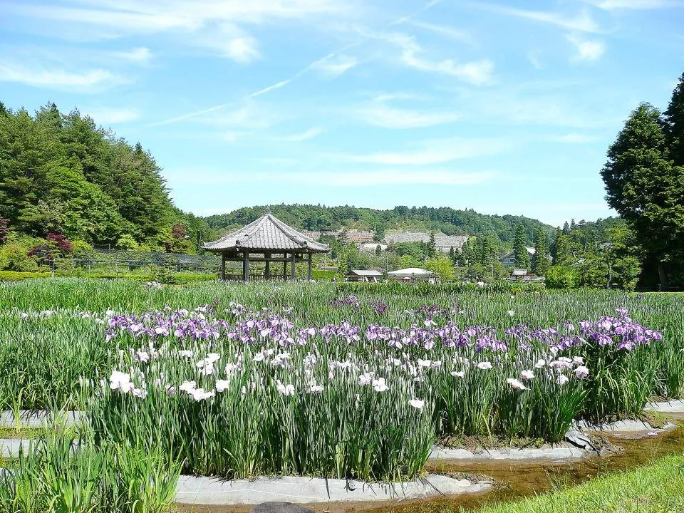 花しょうぶ園