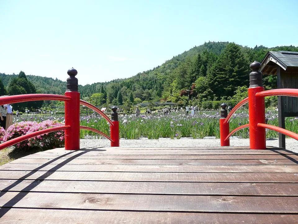 花しょうぶ園