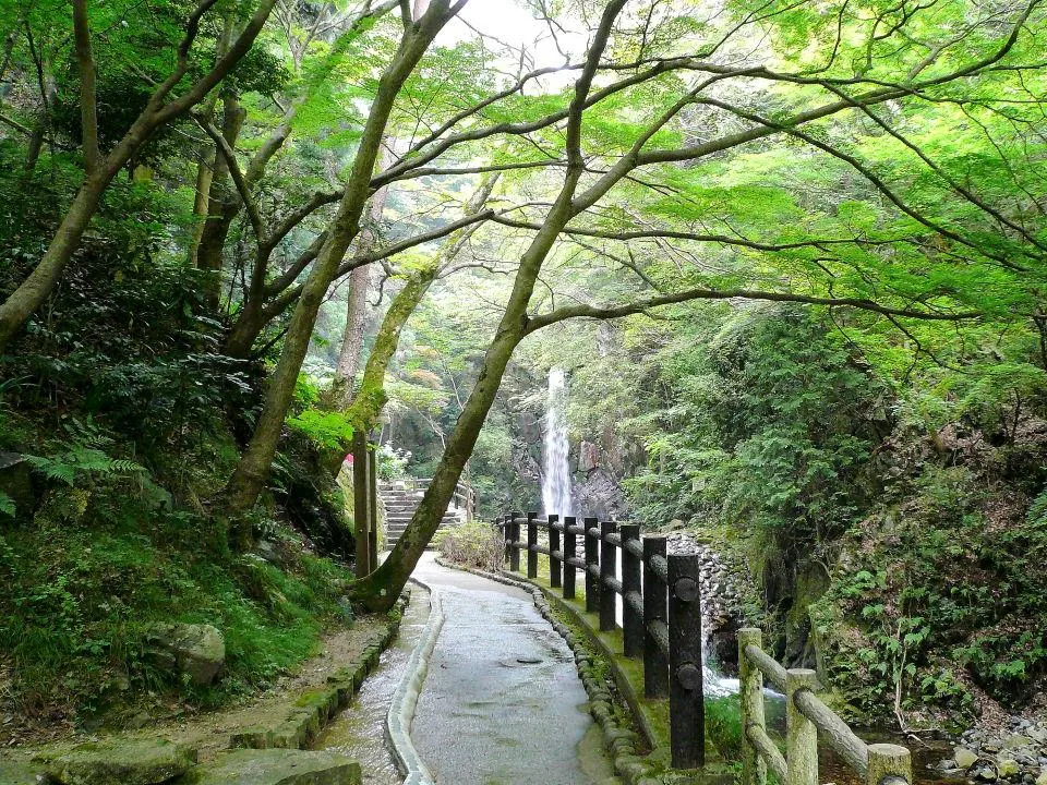 鼓ヶ滝公園