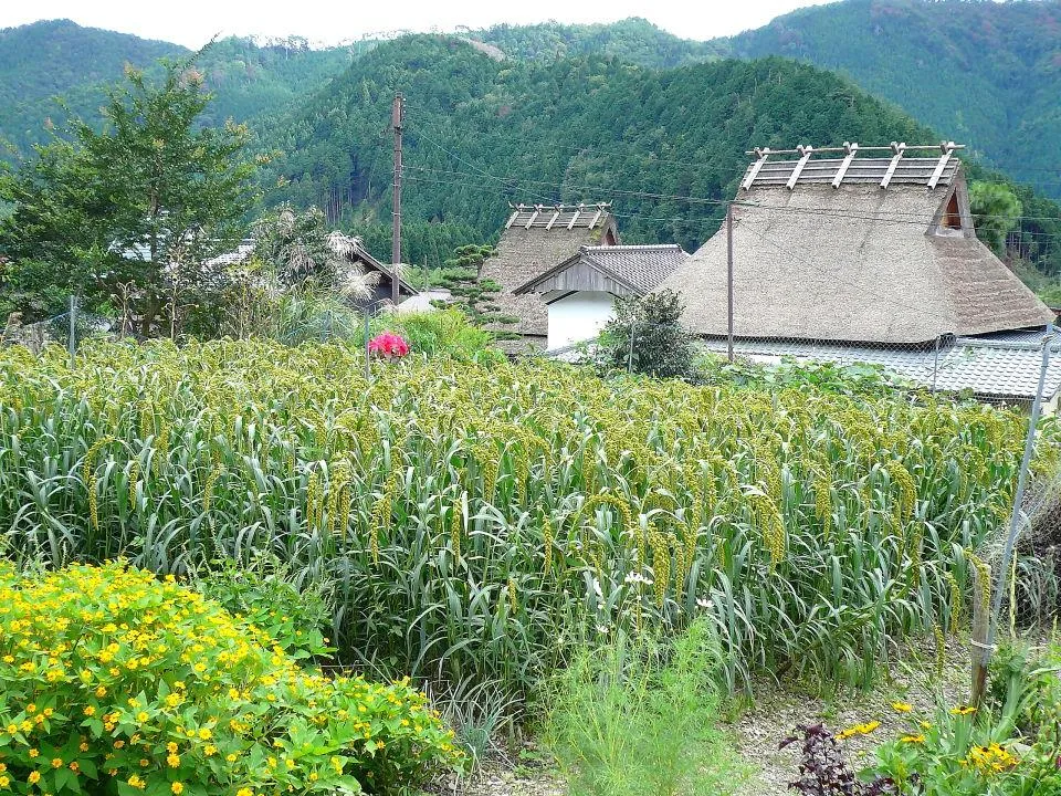 美山の里