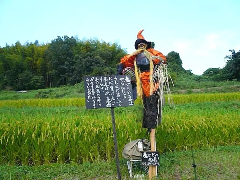 かかし