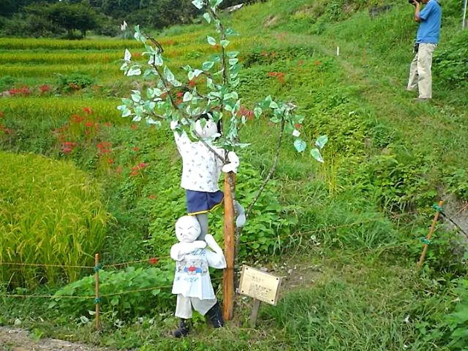 かかし