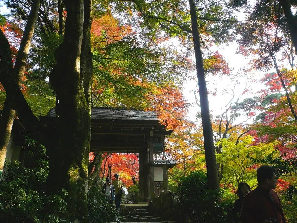 瑞宝寺公園入口