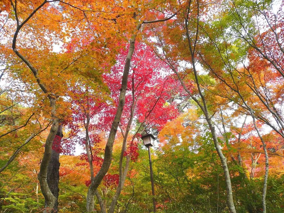 瑞宝寺公園