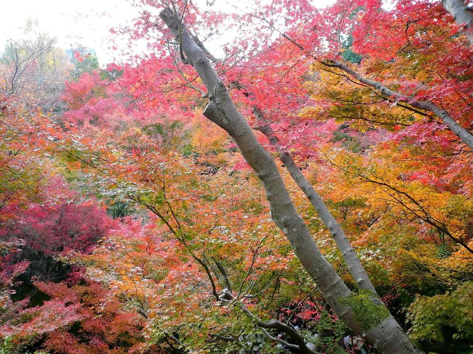 東福寺