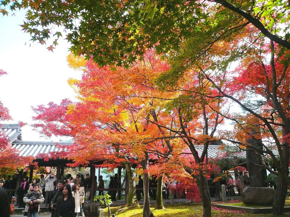 東福寺