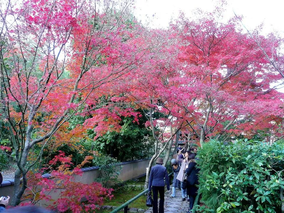 光悦寺