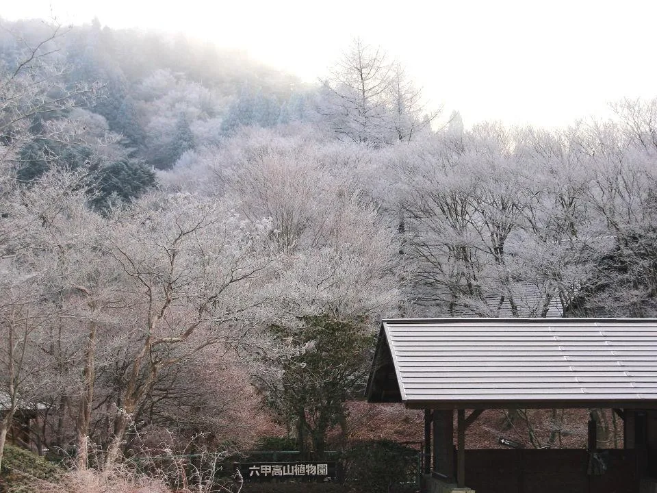 六甲高山植物園入口