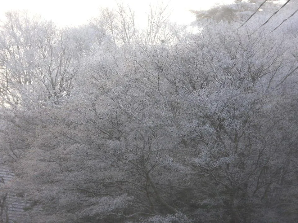 六甲高山植物園入口付近