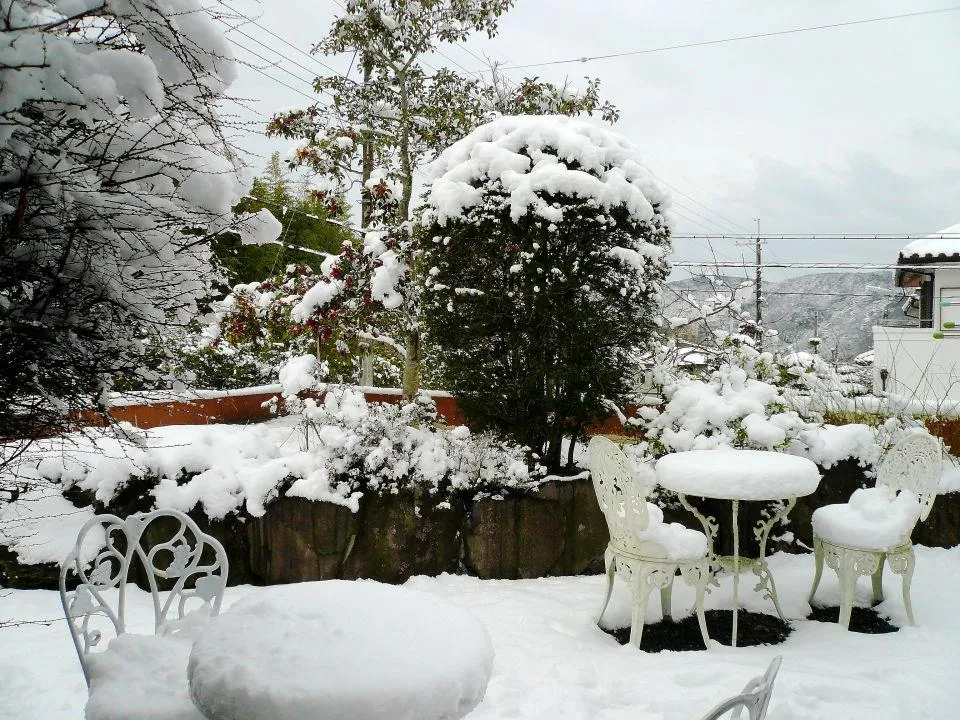 初めての積雪