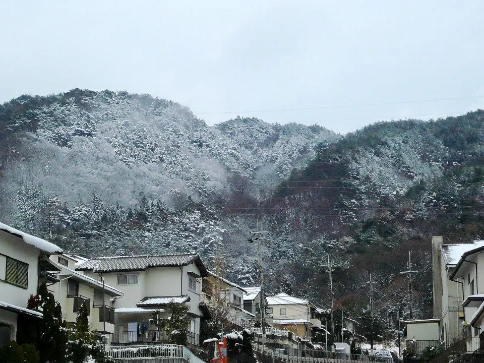 雪が降りました