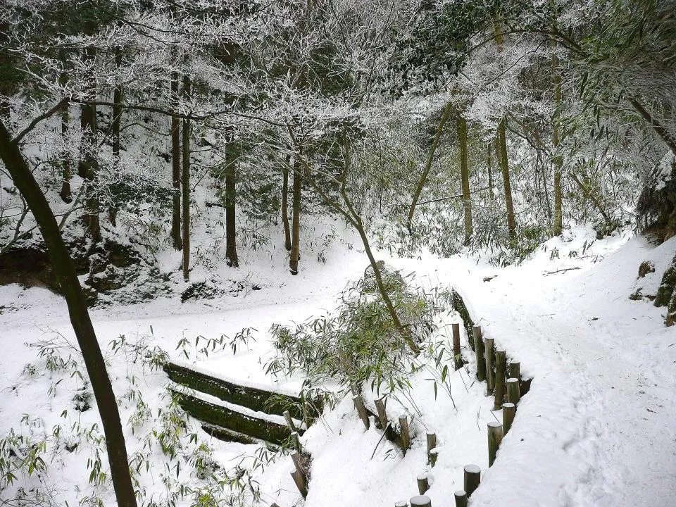 紅葉谷道を旧極楽茶屋へ