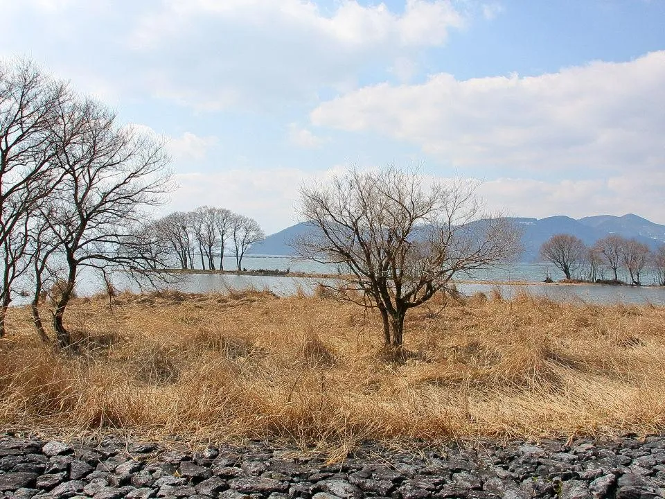 湖北の水鳥公園