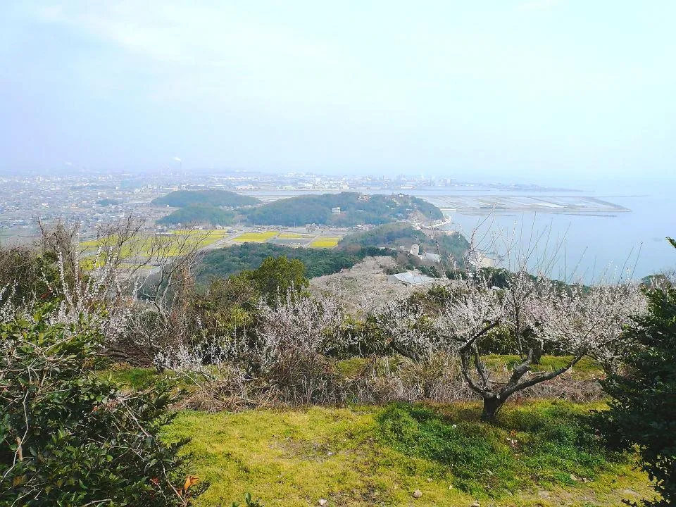 綾部山見晴台