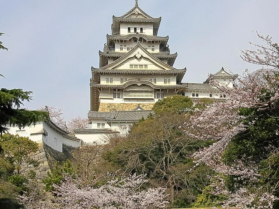 桜の姫路城