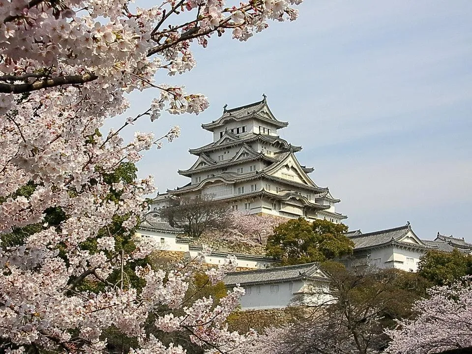 桜の姫路城