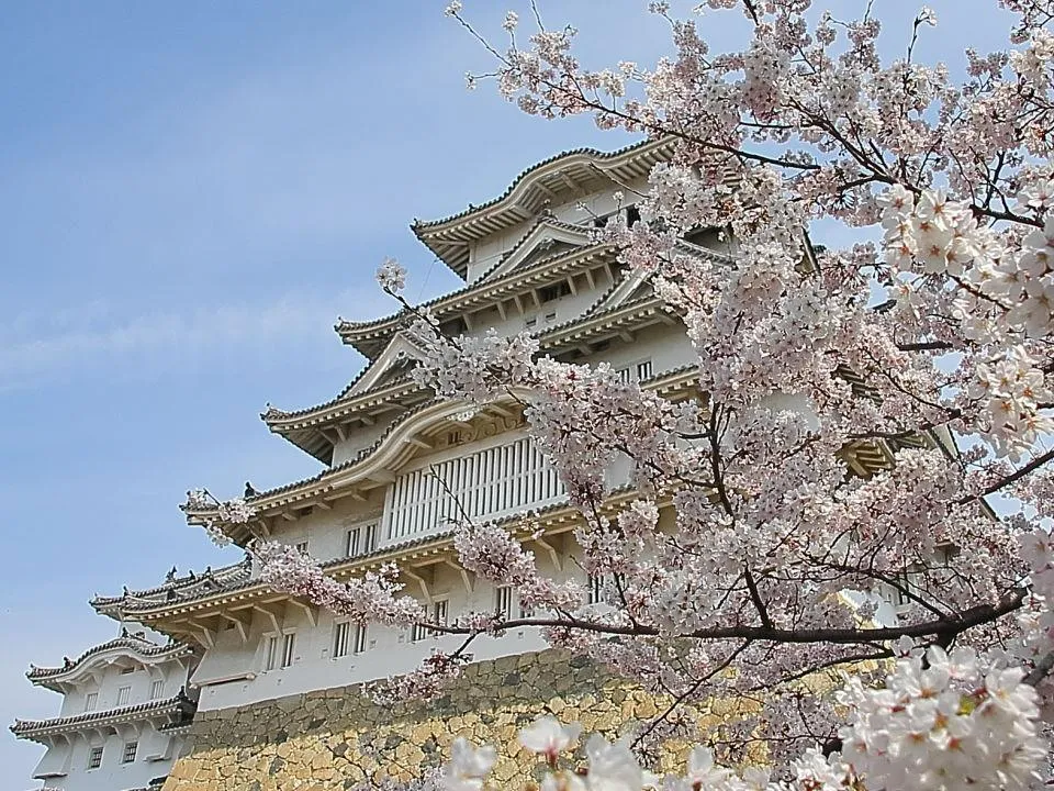 桜の姫路城