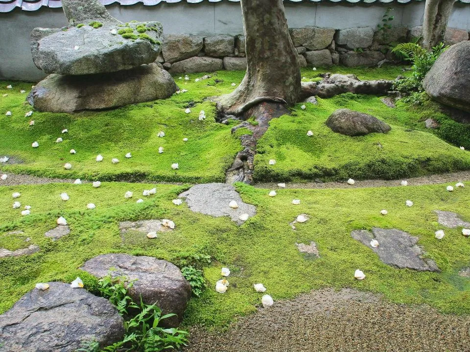 苔の庭に修羅の花が散る