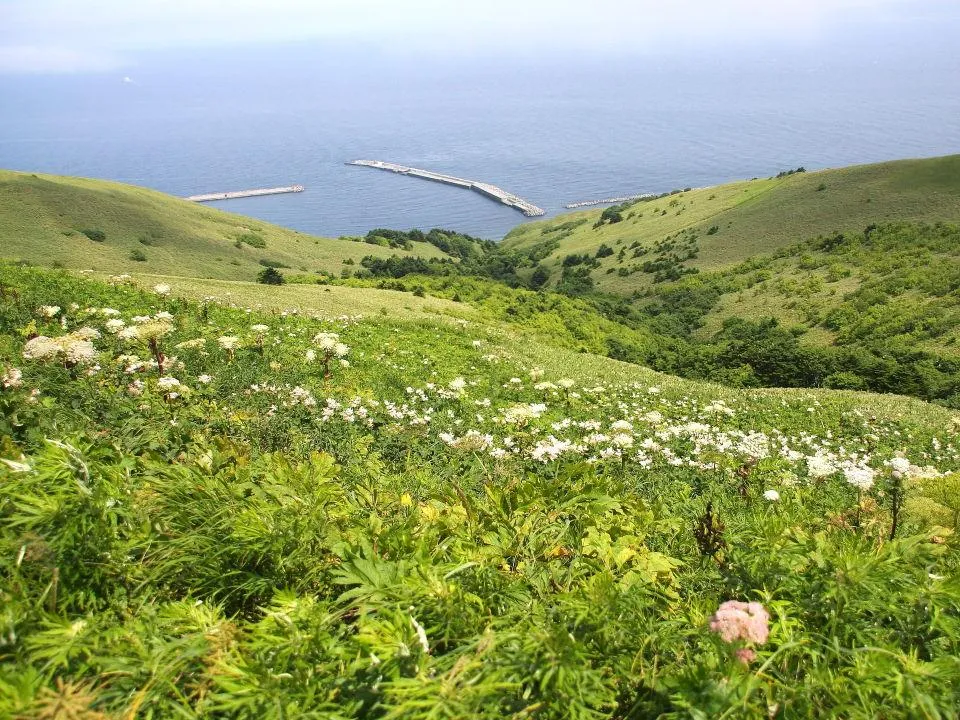 礼文島桃岩展望台から香深港