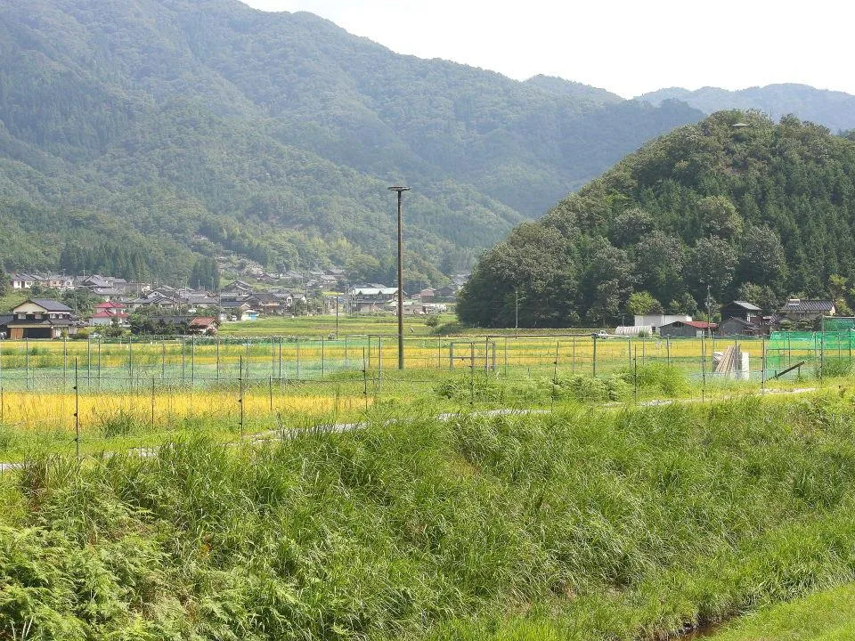 公園前から祥雲寺拠点