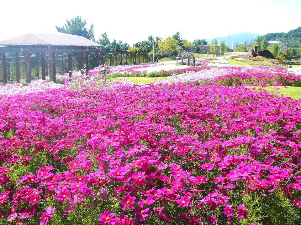 明石海峡公園 大地の虹