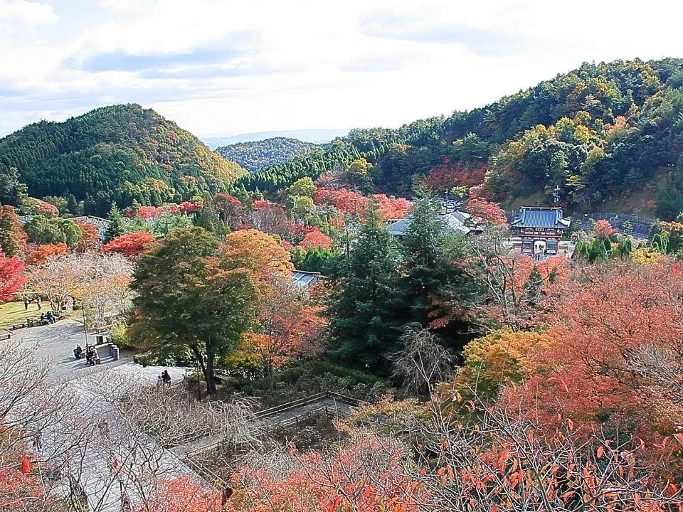 納経所から山門方向