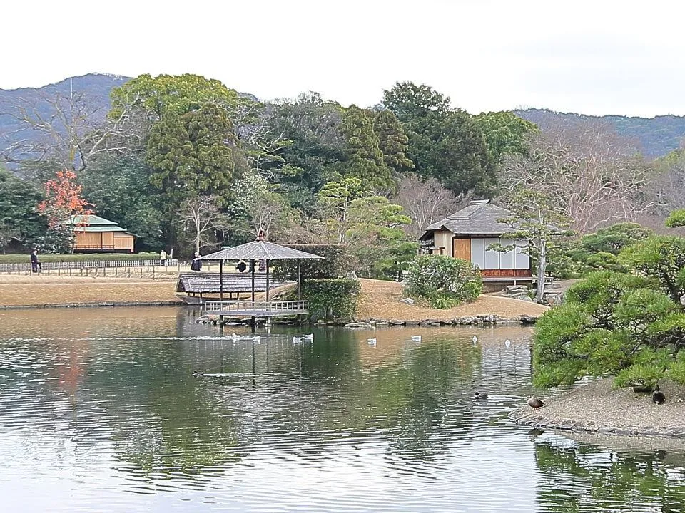 沢の池