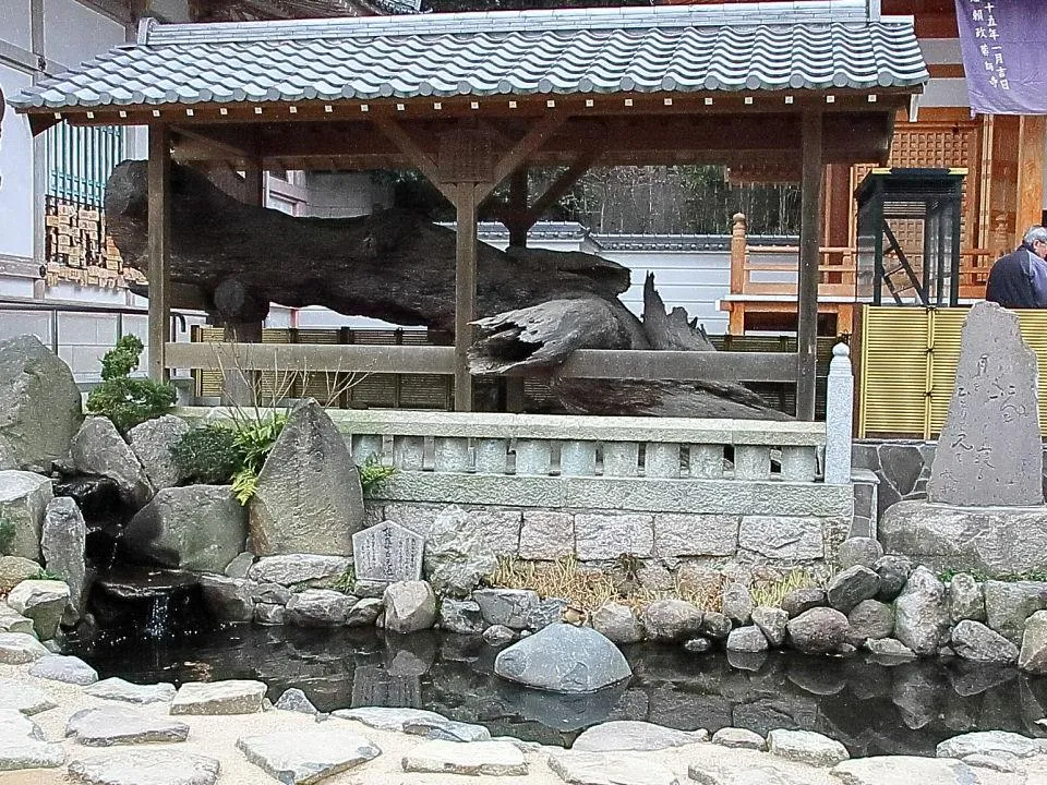 須磨寺「義経腰掛の松」「敦盛首洗池」