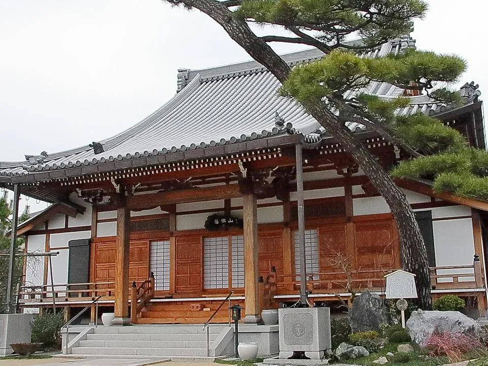 現光寺　光源氏　月見の松