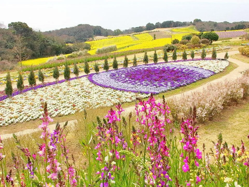 歓びの庭から癒しの花園