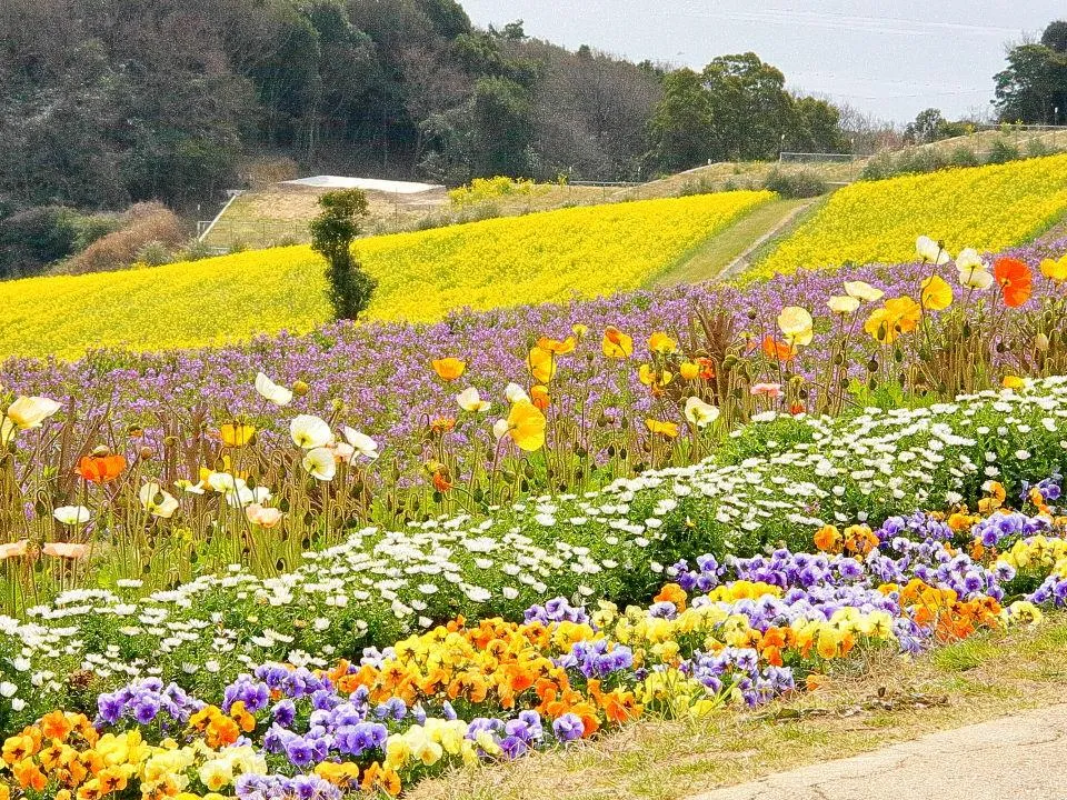 歓びの庭から癒しの花園