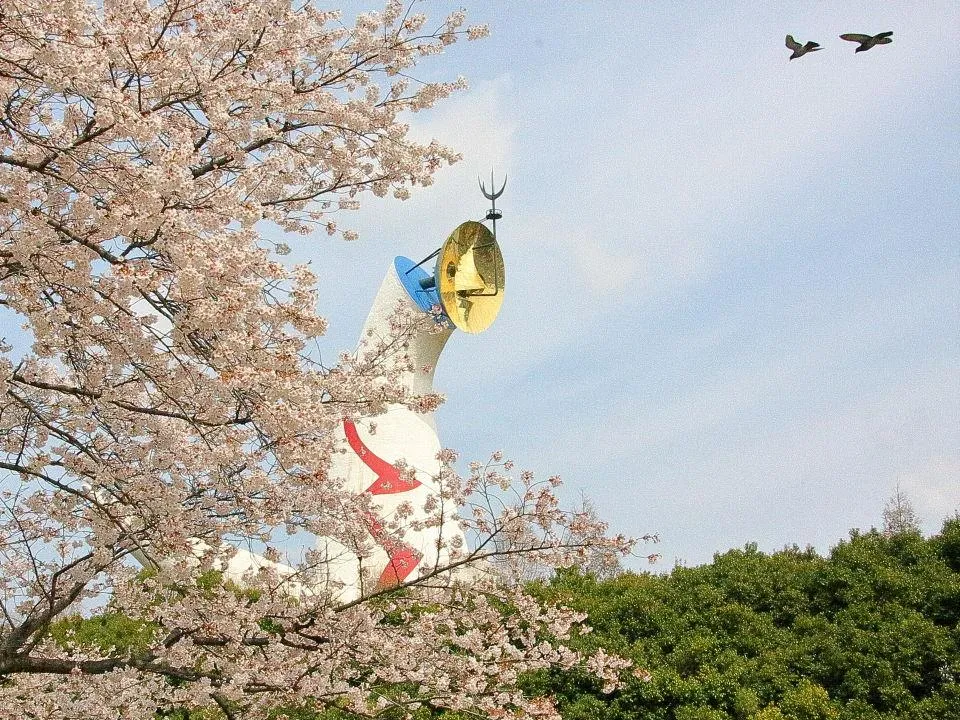 桜と太陽の塔