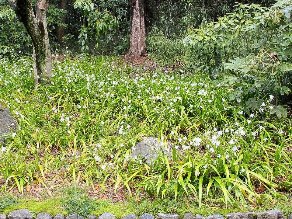 日本庭園