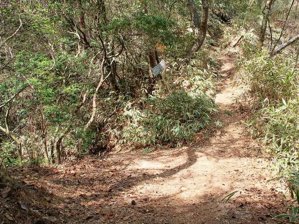 石楠花谷登山道分岐