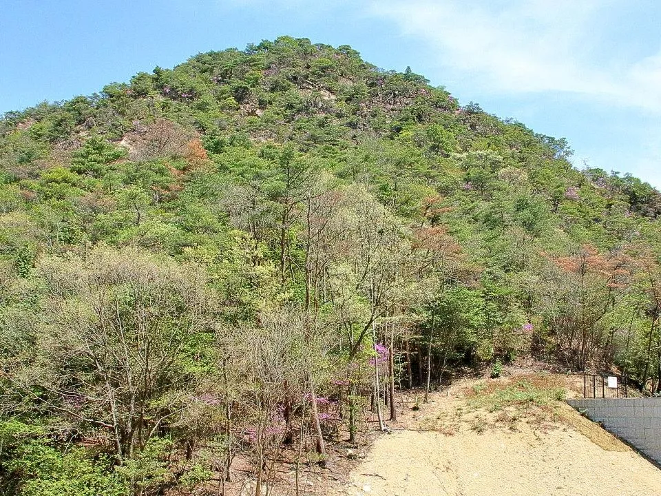 地獄谷道から東の山