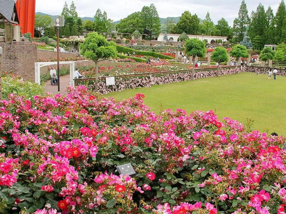 荒牧バラ公園