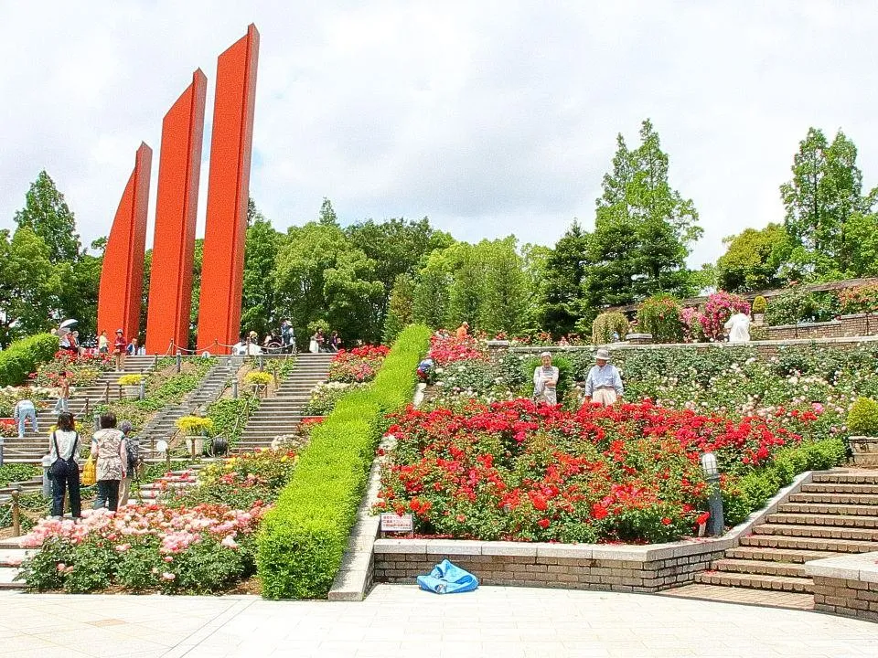 荒牧バラ公園