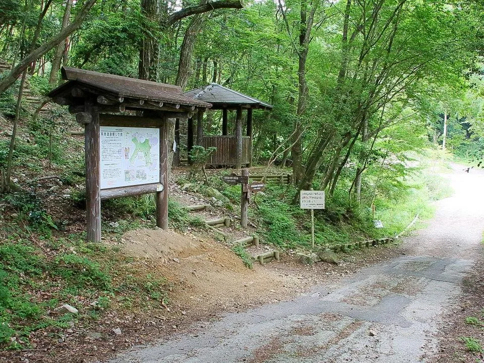 炭屋道への分岐