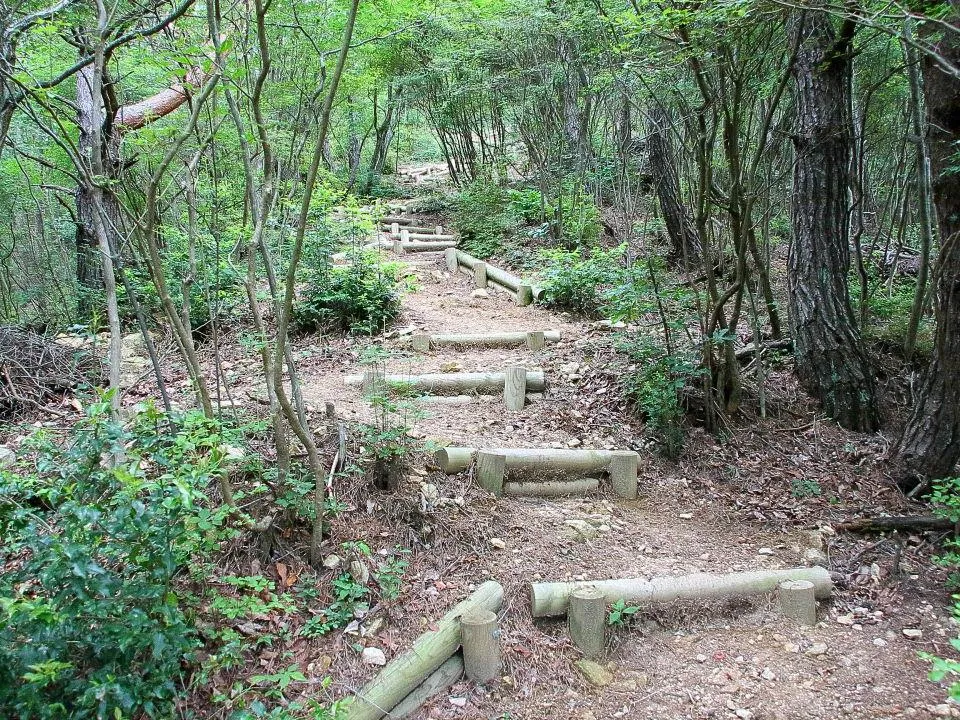 魚屋道への急な登り