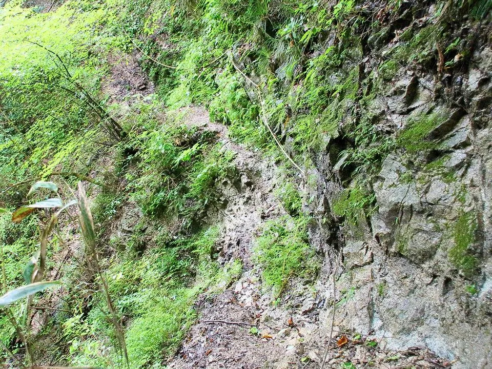 七曲滝側からの山道