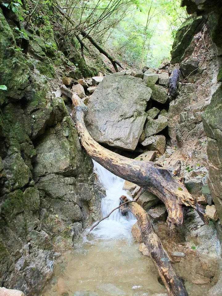 百間滝への谷道